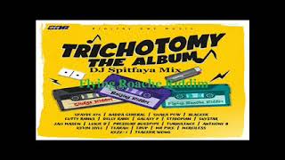 TrichotomyThe AlbumFlying Roache Riddim MixftTurbulenceLukie DIbo FyahDelly RanxCutty Ranks [upl. by Spratt]