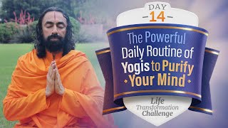 The Powerful Daily Routine of Yogis To Purify Your Mind  Day 14 of Life Transformation Challenge [upl. by Eeslehc]