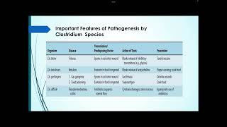 Ex of nosocomial infections  part 1 [upl. by Elfrida]