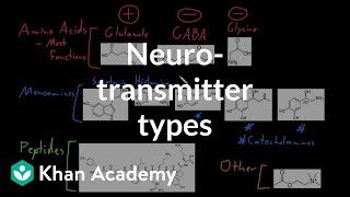 Types of neurotransmitters  Nervous system physiology  NCLEXRN  Khan Academy [upl. by Oirad]