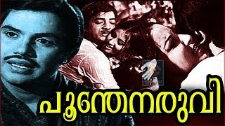 Poonthenaruvi 1974 Full Malayalam Movie [upl. by Eedrahs2]