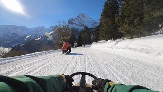 Sledding in Braunwald  Tobogganing PoV [upl. by Eiramyelhsa935]