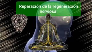 ☄️Reparación de la regeneración nerviosa  Conexiones nerviosas  Binaural Beats Nervio y meditaci [upl. by Imeon]