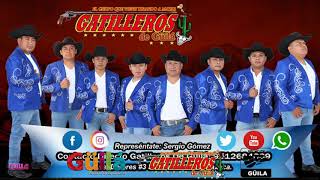 GATILLEROS DE GUILA LO NUEVO Y LO MEJOR [upl. by Carlton]