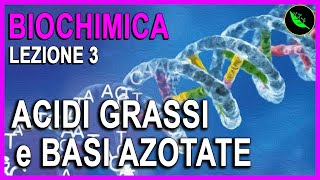 ACIDI GRASSI  BASI AZOTATE e NUCLEOTIDI Biochimica Lezione 3 [upl. by Michaeline]