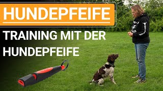 🐕🐶 Stephanie Salostowitz ➡️ Training mit der Hundepfeife ➡️ Praxisvideo 🐕🐶✔️ [upl. by Templas]