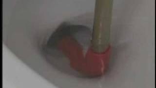 Toilet Auger [upl. by Aimehs]