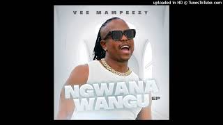 2 VEE MAMPEEZY x DJ NGWAZI x DJ MAPUTO  MMAMPUDI Official Audio [upl. by Peppard41]