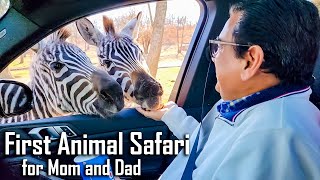 Shilpa Animals se Dar Gayi 😂 Taking Our Parents for Animal Safari [upl. by Annas]