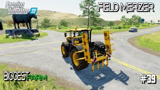 39  MERGE TWO FIELDS And Harvest SHORGAM  Farming Simulator 22  Biggest Farm  Ravenport [upl. by Rehm]