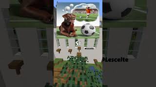 Un cagnolino sognatore 🐶⚽perte ai minecraft cane [upl. by Lanahtan]