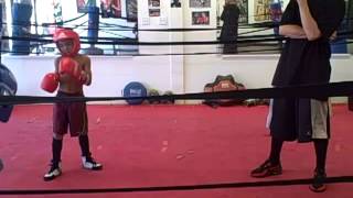 1st GRADER vs 5th GRADER Boxing sparring [upl. by Mace230]