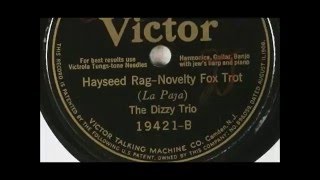 The Dizzy Trio quotHayseed Ragquot 1924 Borrah Minevitch on harmonica [upl. by Castor]