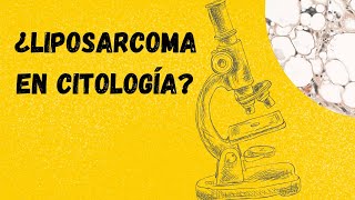 LIPOSARCOMA Diagnóstico citológico Tumores de partes blandas [upl. by Bailar]