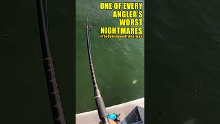 One of Every Angler’s Worst Nightmares TheDeterminedFisherman [upl. by Gibby204]