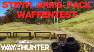 Way of the Hunter  Steyr Arms Pack  Waffentest Tipps  DLC [upl. by Gottwald]