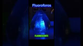 Fluoroforos Químico laboratorio demostración Ciencia [upl. by Nosirb]