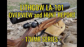 Lithgow LA101 Overview and Hunt Report  17HMR Series [upl. by Ynnal]