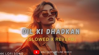 Dil Ki Dhadkan Slowed  Reverb  Mind Fresh Lofi Song Mind Relax Lofi Mashup  Anu Deep Tirkey [upl. by Anaic]