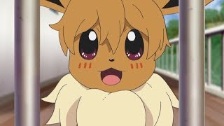 Eevee AMV  Mr Saxobeat [upl. by Nosneb198]