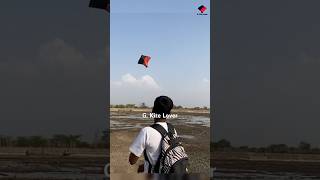 Kite Looting From Ground😍 kiteflying kitelooting kitelover [upl. by Oilla]