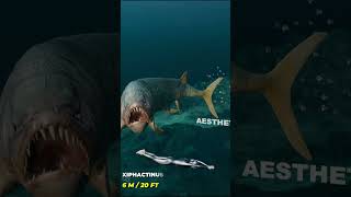 Sea Monsters Size Comparison 3D 2024  Extinct Sea Monsters Size Comparison  3D Comparison 2024 [upl. by Fayre]