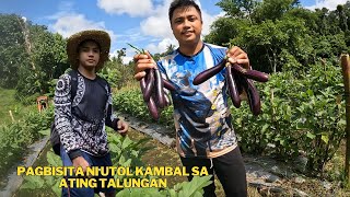 PAGBISITA NI UTOL bomboyvlogs3518 SA ATING HALAMANAN AT PANGUNGUHA NG PAKO [upl. by Abbotson562]