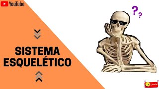 Sistema Esquelético  OsteoBlastos OsteoClastos e OsteóCitos [upl. by Oniratac]