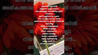 Aattuthottil 🎶 Athiran song 🎧 lyrics lyricswhatsappstatus fahadhfaasil shorts [upl. by Rennold]