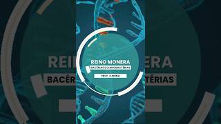 2 EXPLORANDO O REINO MONERA bacteria CIANOBACTERIA ciencia biologia PROCARIONTE [upl. by Karyn]