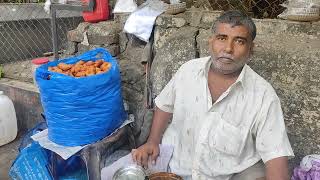 23042024  Idli Vada Sambhar Stall  in South Mumbai  on Napean Sea Road [upl. by Micco]