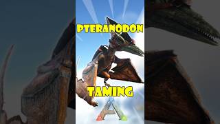 Ark Pteranodon Taming [upl. by Aleuqahs]