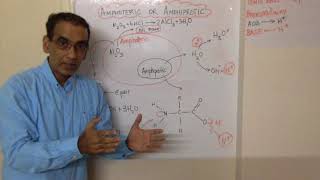 Amphiprotic vs Amphoteric IB Chemistry [upl. by Erdnassac]