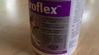 Artroflex de Bayer para perros con problemas en los huesos y articulaciones [upl. by Aekahs530]