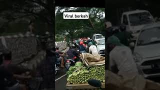 Sayur murah abang sayur membagi bagikan kesemua yang lewat shorts [upl. by Skantze]