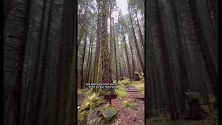 Hiking to Sol Duc Falls  Olympic National Park explore hiking forest [upl. by Socher]