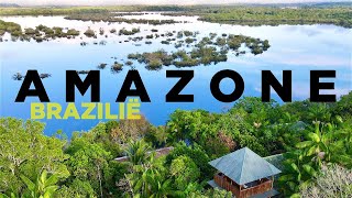 AMAZONE BRAZILIË Piranhas Apen en DOLFIJNEN in ‘s Werelds Mooiste Jungle [upl. by Evars]