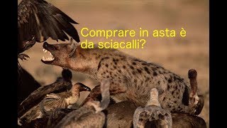 Comprare una casa in asta è da sciacalli [upl. by Elvira]