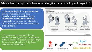 Biotecnologia e meio ambiente Biorremediação [upl. by Anaer991]