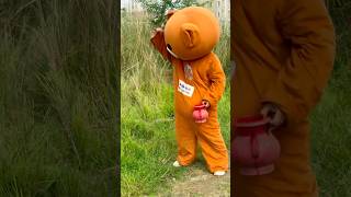 Mr Teddy bear fanny video comedy funnyteddy stuffedanimal funny funteddy teddybear toocute [upl. by Yerbua]