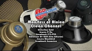 Monsters of Alnico Speaker Shootout Clean Settings Celestion Gold EJ1250 Scumnico Blackbird [upl. by Neeka]