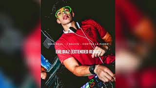 Contra la Pared  Sean Paul  J Balvin  Emi Diaz Extended [upl. by Krystin]