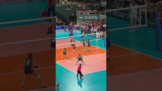 Mylene Paat scores with a tip vs Creamline Cool Smashers 🇵🇭 pvl pvl2024 volleyball [upl. by Nilyad]