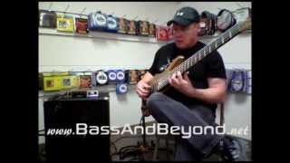 Bergantino NV115 Bass Guitar Cabinet Review BassAndBeyondnet [upl. by Arodnap]