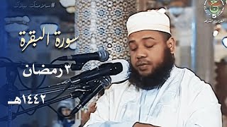 سورة البقرة 251  270  تراويح مسجد الأمير عبد القادر 1442هـ  الشيخ د عبد المطلب بن عاشورة [upl. by Jessalyn]