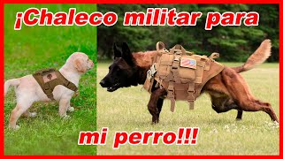 Top 10 chalecos TÁCTICOS para perros que puedes COMPRAR  militares [upl. by Eeloj171]