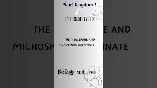 pteridophytes fypシ゚viral study neet neetbiology class11th ncertbiology dontmissmustwatch [upl. by Earl422]