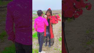 Kati Raat Maine Kheton Mein Tu Aayi Nahi 2024 Song shorts vairal trending love [upl. by Kcirdahs]