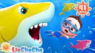 Baby Sharks in the Water  Ten Little Sharks  Number Song  Kids Songs amp Nursery Rhymes  LiaChaCha [upl. by Picker]