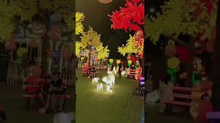 Thailand new joyland and horse or real tree 🌲viralvideo barish cricketmatch [upl. by Sella839]